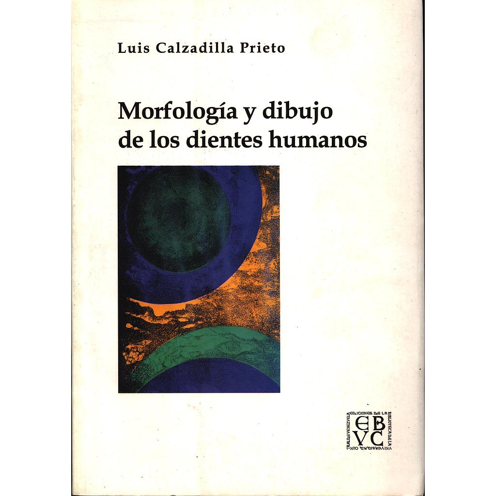 Morfología y dibujo de los dientes humanos