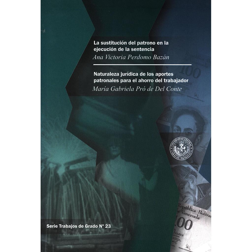 Serie de trabajos de Grado N°23